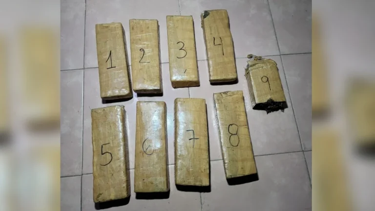 Escapada de película: conductor abandona más de 5 kilos de marihuana tras huir de control policial