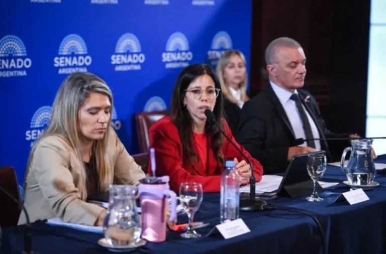 Se Avanza en la Reforma de la Ley de Salud Mental a Pesar de la Disidencia